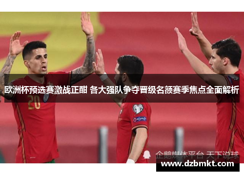 欧洲杯预选赛激战正酣 各大强队争夺晋级名额赛季焦点全面解析