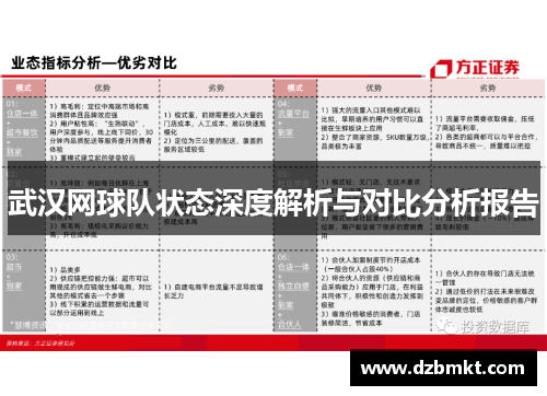 武汉网球队状态深度解析与对比分析报告