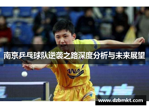 南京乒乓球队逆袭之路深度分析与未来展望