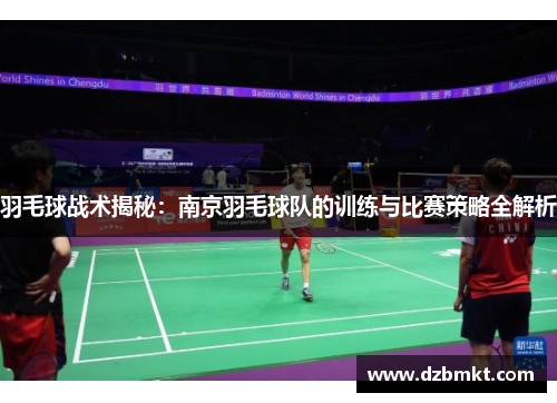 羽毛球战术揭秘：南京羽毛球队的训练与比赛策略全解析